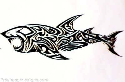 Shark